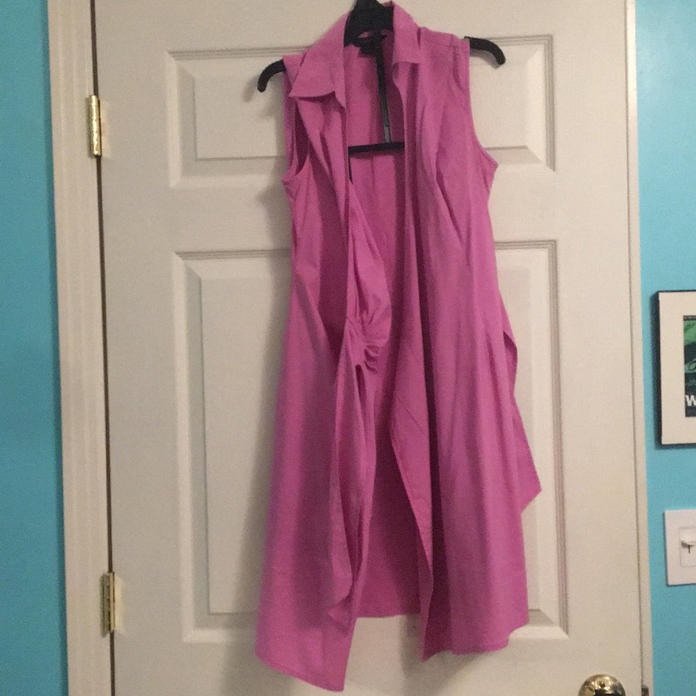 Express pink dress
